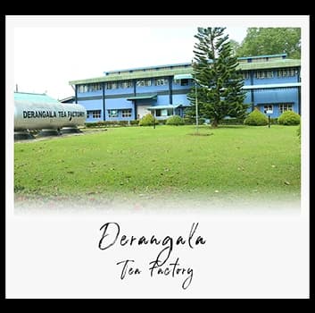 Derangala