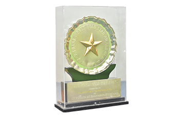 Award 8